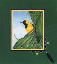 yellow bird