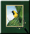 yellow bird